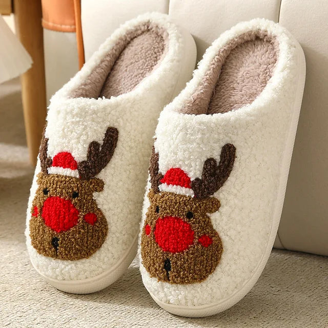 Winter Warmth Slippers