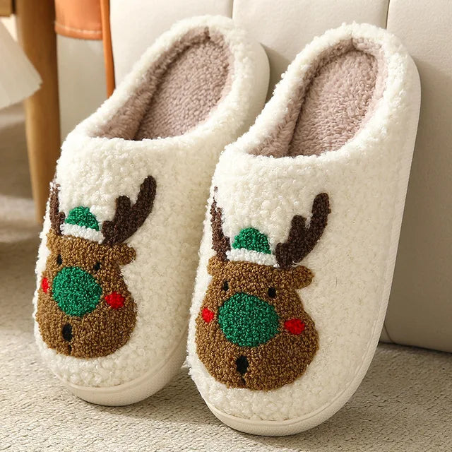 Winter Warmth Slippers